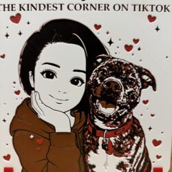 Falux (Kindest Corner on TikTok)